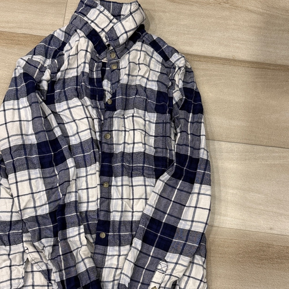 American Eagle Outfitters Blue and White Plaid Button-Down Shirt